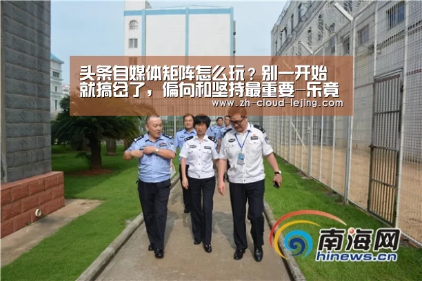 头条自媒体矩阵怎么玩?别一开始就搞岔了,偏向和坚持最重要-乐竟体育官网(图2) 乐竟赛事