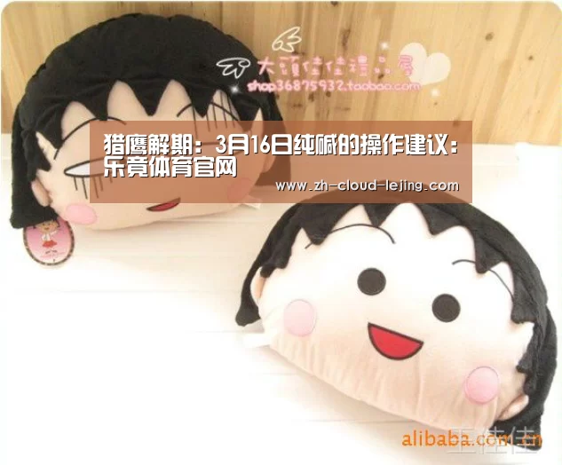 猎鹰解期：3月16日纯碱的操作建议：乐竟体育官网