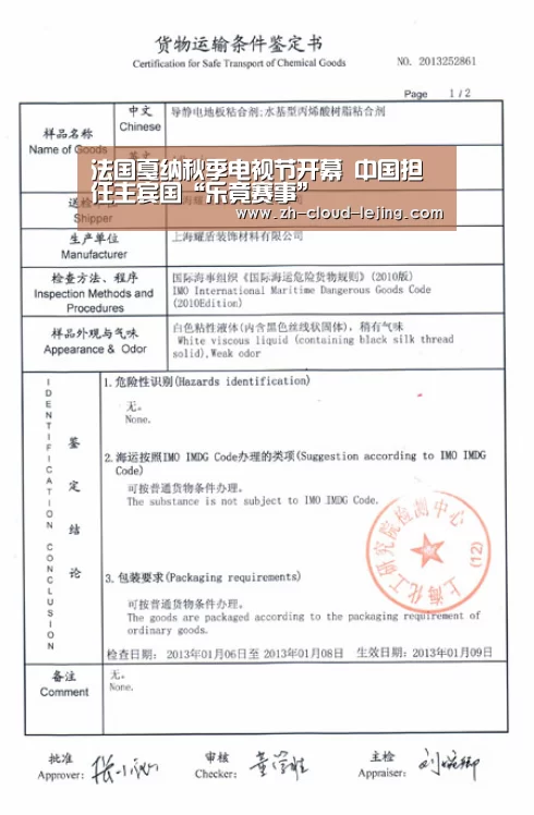 法国戛纳秋季电视节开幕　中国担任主宾国“乐竟赛事”