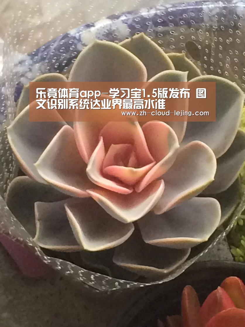 乐竟体育官方