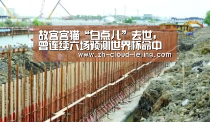 故宫宫猫“白点儿”去世，曾连续六场预测世界杯命中“乐竟体育官方”