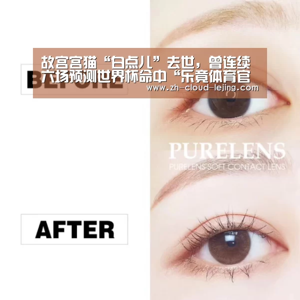 乐竟赛事
