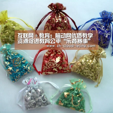 互联网＋教育：脑动网优质教学资源促进教育公平“乐竟赛事”