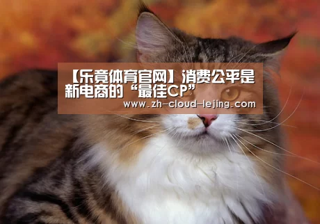 【乐竟体育官网】消费公平是新电商的“最佳CP”